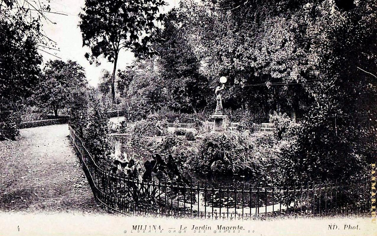 Miliana - Jardin Magenta.jpg